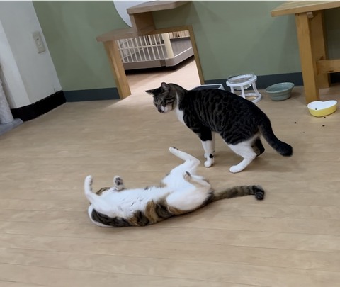 872D208D-E5DD-4816-BDD8-B6916C3DE274