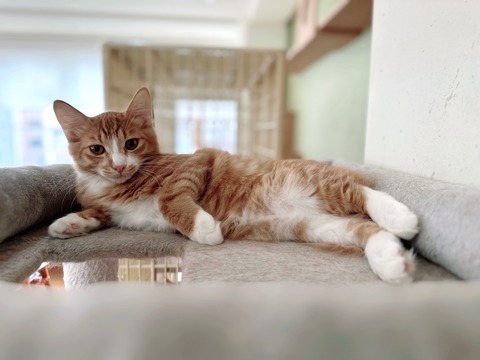 5198331A-9AA5-48E5-BCC6-DFCAA914BED7