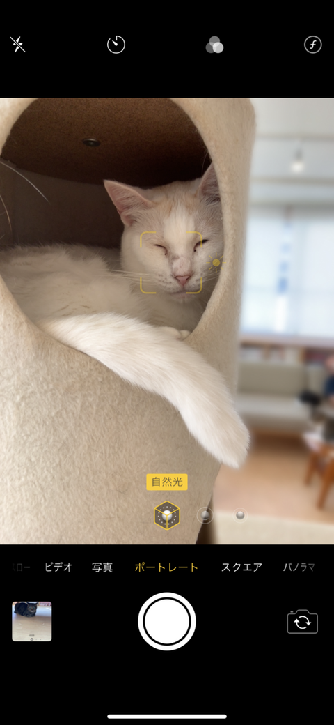 15785C95-F50C-44F9-91B6-5B063C367EDA