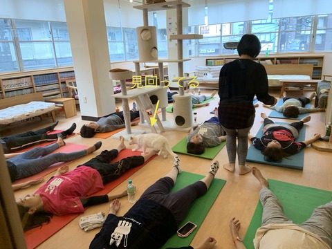 CA35CAE5-0D5F-4257-B753-07ACBD4EC3E6