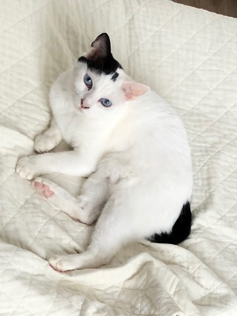 3D37F907-6D20-4A68-9760-851CA896B679