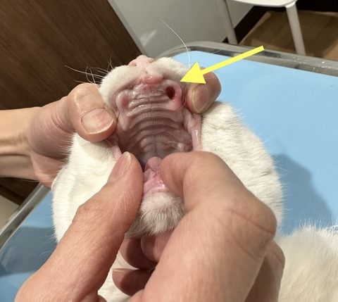 03510EAB-3F99-4A3F-8C4B-B2E502C3B3CD