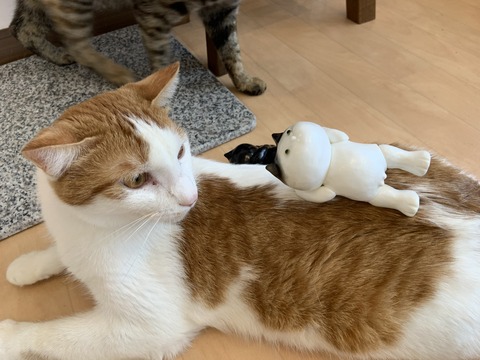 ABDC349A-7CA8-417D-9189-8AE4604C695B