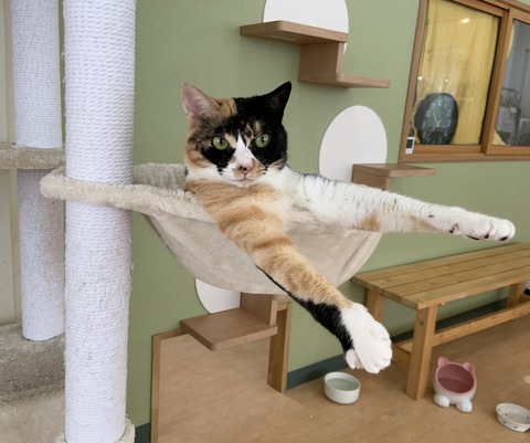 4B4B7A3A-347D-4FA7-8F53-354FC4C229E6