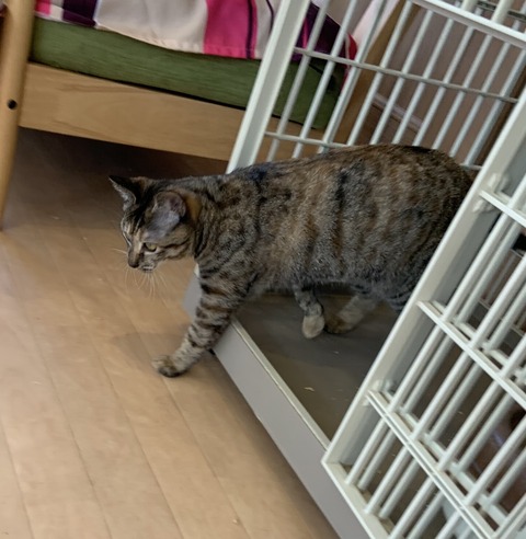 0C7FE1BC-2512-4077-A84C-29D78D5AA04C