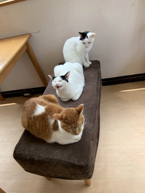 6F79D911-6C9E-45F9-ADD9-760C6FEA7CD2