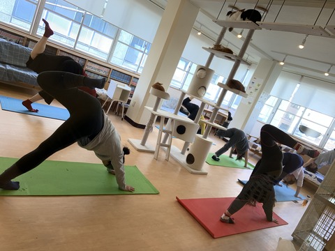 00CE8CDA-9BAF-4165-B010-7D967595447D