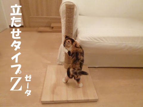 猫式ブログ