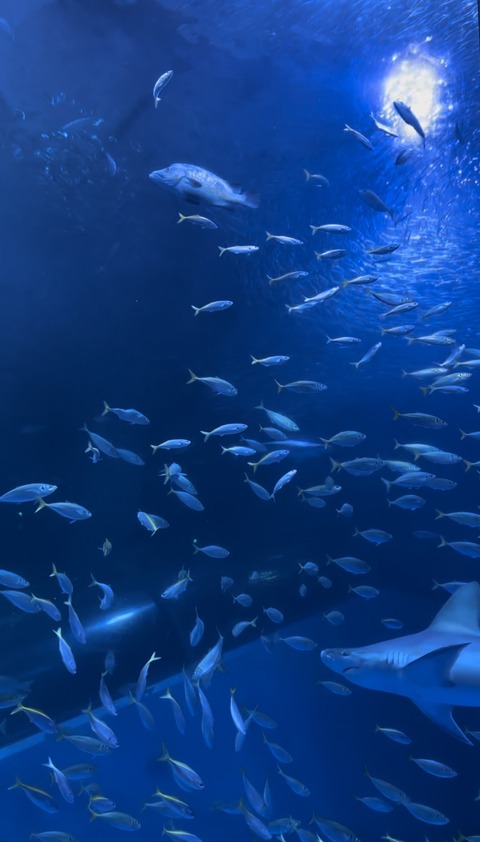 8FBB63FA-AD3B-49A0-BEEA-AD4CEEF7EDEE