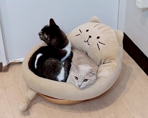 9E1A9E98-D4E1-48EE-A505-9A46EC1ADA5C