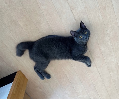 9E0208F0-3157-4911-89D4-29AA9469D63B