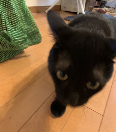 3257D6AF-999D-4D98-A8A7-CA3AEA0F806F