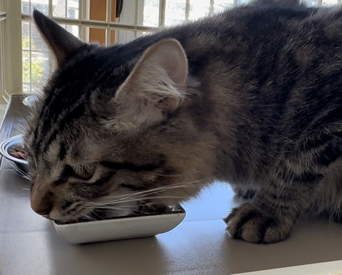 ED5DA205-2E7B-46FF-9CAC-84F6CC3D2B20