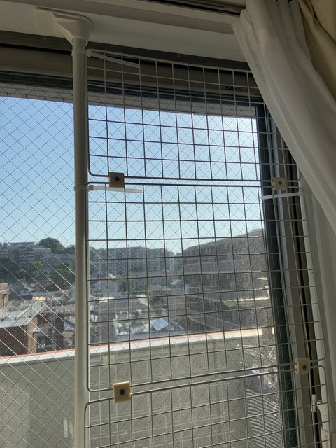 217D24B5-05DB-4F14-A6CB-222AAAC0E80E