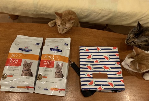 C4A80C8C-3EE9-48C9-A242-E7072167E095