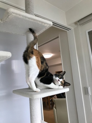 C3C759C1-4BD8-4563-B956-BCB21E4922B1