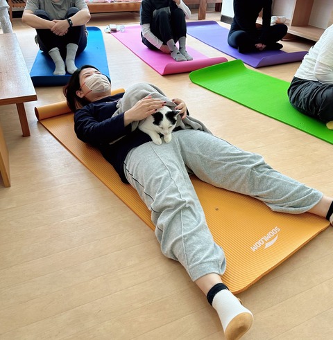 53A54308-1C97-460A-A858-E07A6B5F094D