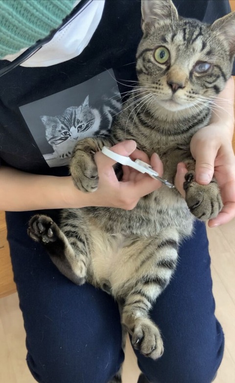 CD7EE0C9-12C5-4FD9-9911-C6D60529B610