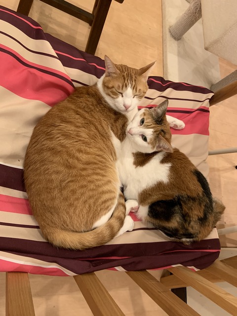 F64B210D-EA7E-40B3-86FE-C87F46215877