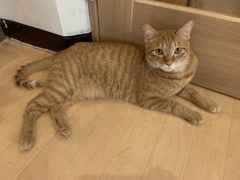 76A966EB-E60D-4823-9EB4-E75E831812F4