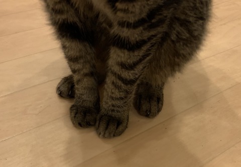 0E6CA3D2-B57E-4C64-8EF0-80970391622F