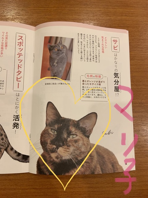 BA91C097-1C4C-4B60-9081-262ED0EC0907