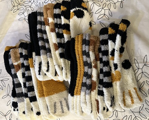 4B09DE9F-146E-4F8D-878E-6DE36F84EC0A