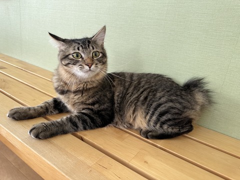 CDEAD8D9-3EDB-4C47-B3B0-D08F255B7212