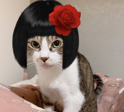 00DACDC8-D81D-4545-92AE-2D43F1FADC8C