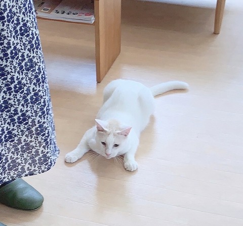 8FA12E57-43CD-453C-BF9A-86AC11011772