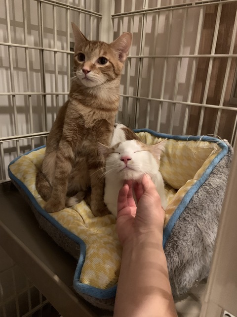 81ACC824-4ED5-4B12-AE2C-0EA30B16BFB6