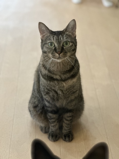 98E24BD7-7F03-40F7-99EB-C6E16423E942