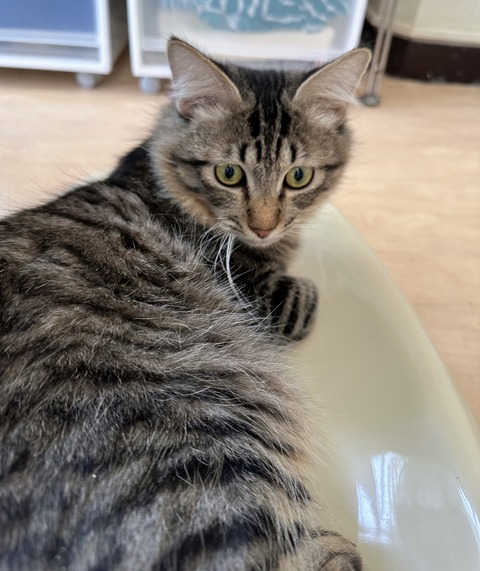 2F5E9E28-0ADE-4E56-9C4D-E84150B5E97D