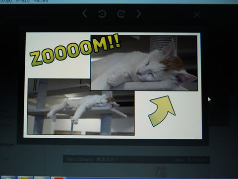 猫式ブログ～里親募集型猫カフェ