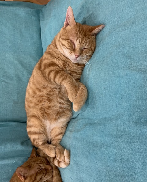 63F3EB66-B18F-4C88-97AC-F50C0A450937