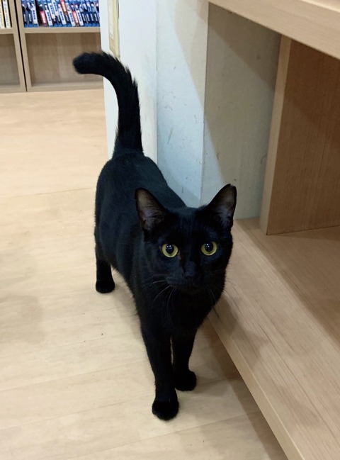 E3DC2E8B-90A3-4613-B01D-FB57DCC3282D