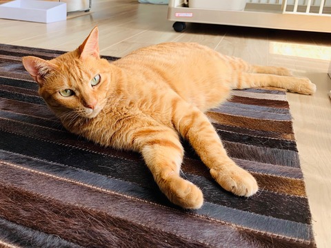 7E232DDC-1675-4EFB-B862-7528F1F22BF3