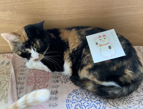 9F316EC1-E723-4A23-868B-0B5551A5F290