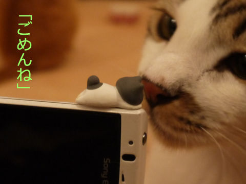 猫式ブログ~里親募集型猫カフェ
