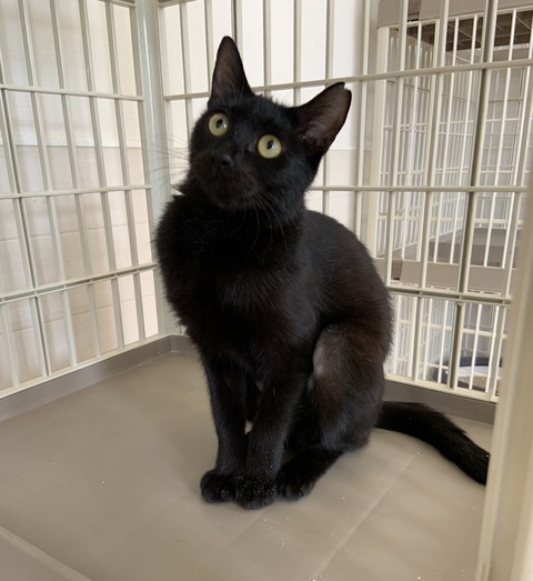 757C176F-5C00-4E4A-81DD-CFE920499243