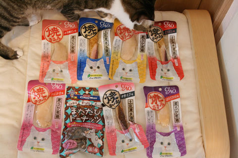 猫式ブログ~里親募集型猫カフェ