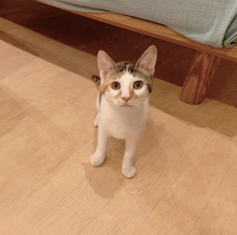 D314D530-3959-4E17-9E8A-A0EA7541A50A