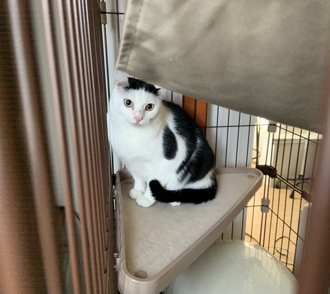 5B36610C-C869-46BB-9773-821B02FB2B93