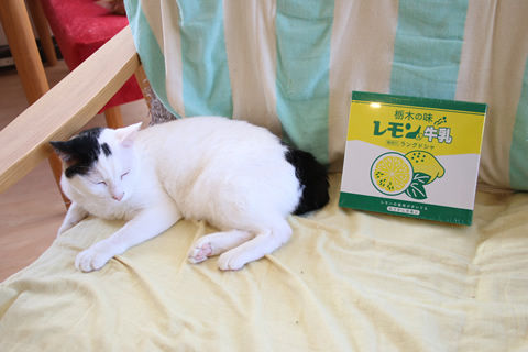 20190117_なぁねさん