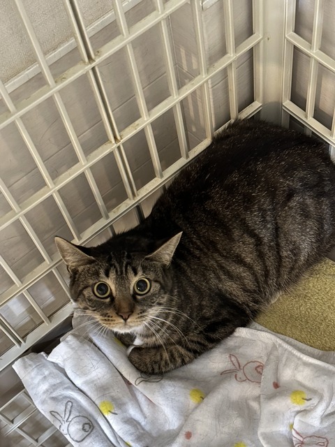 B1E06F72-56C8-41C4-B6CD-74FCF97A11E3