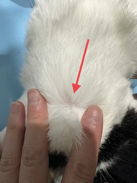 26003D99-51AF-4AD3-84BA-7085FA01AAC9