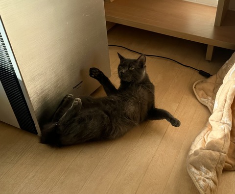 7E134752-F5C6-4532-829C-4487C0CBAFDD