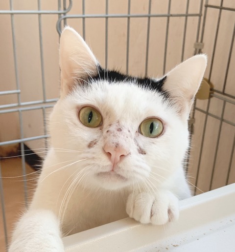 F0617A2D-7A76-47EF-BD3C-D6B687D92E1F