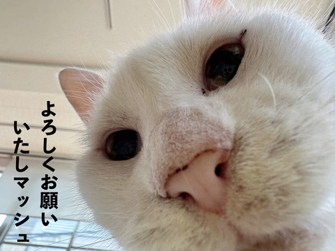 6ECE8180-1783-4A2F-8573-4A4FADCFE269