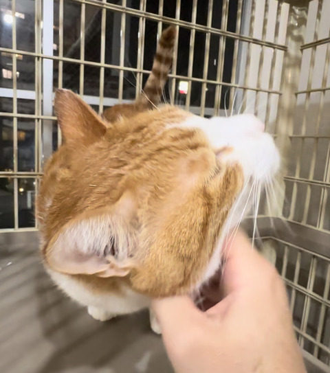 A5DFAC17-3ED6-43FC-910E-BDC337C61A8E